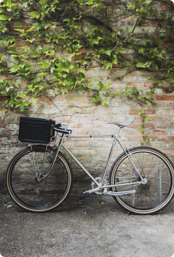 Фотография дорожного велосипеда